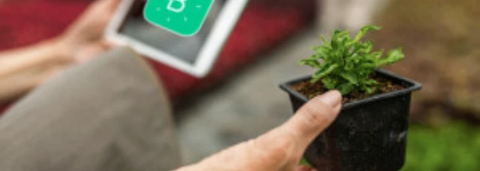 plante-potager-smartphone-application-jardinage-numerique